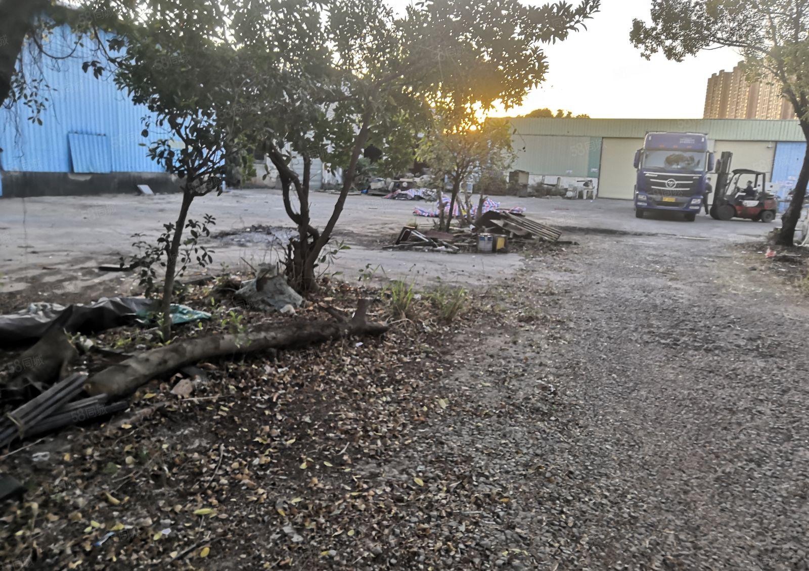 大岭山独院厂房出租3000平方空地大形象好