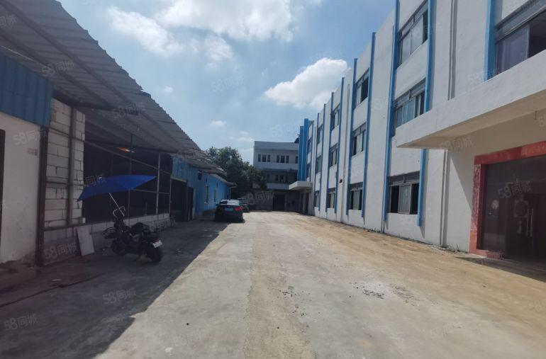 大岭山靠高速路口新出独院标准厂房水电齐全，特价出租9.9块!