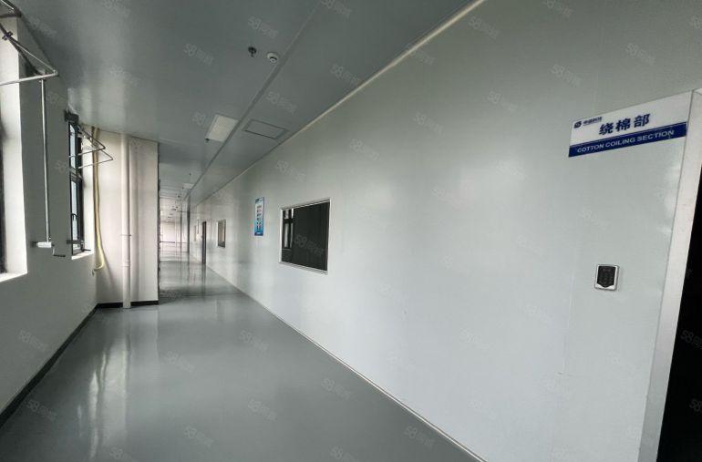 大岭山镇颜屋村原房东1728平无尘车间高速旁边上市公司形象