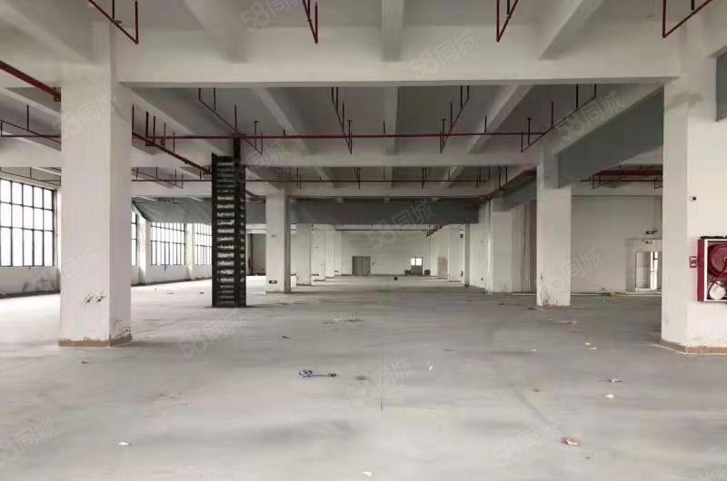 大岭新建双证厂房 可办环评！厂房面积30000平层高7.5米