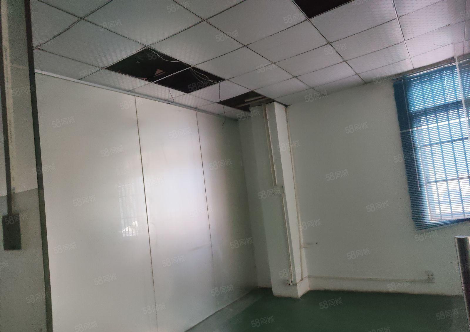 大岭山新空一楼1100平方厂房出租，带装修