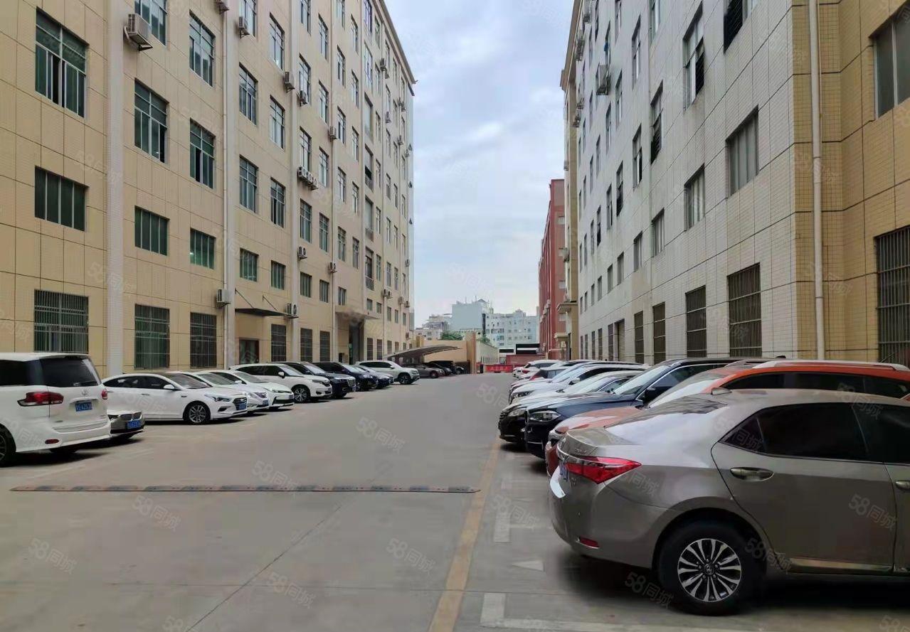 大岭山镇靠近龙大路口一楼2075平层高7.5米带牛角出租