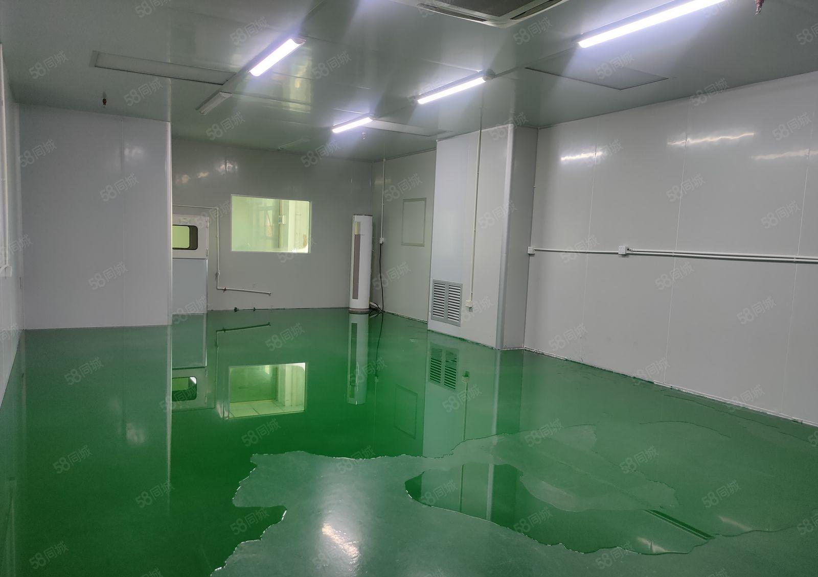 大岭山工业园20000平方精装修厂房出租500平方起分租。