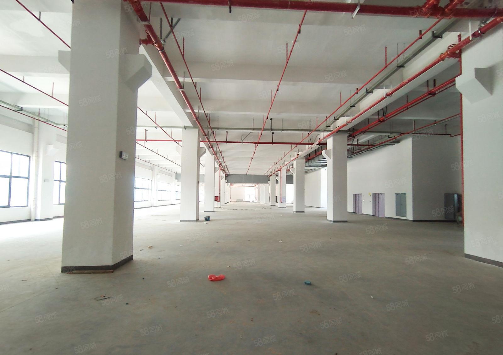 8元200平起原房东大岭山松山湖无公摊2万平厂房出租一楼仓库