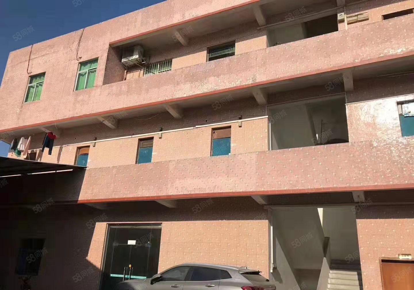 大岭山原房东自建单层小独院920平方出租，价格美丽