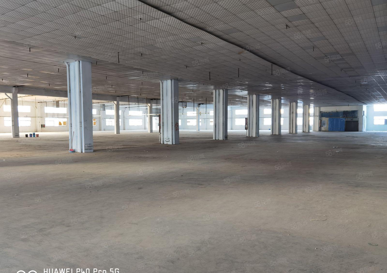 花园式厂房出租，空地大可分租，易招工，高速路口，交通便利