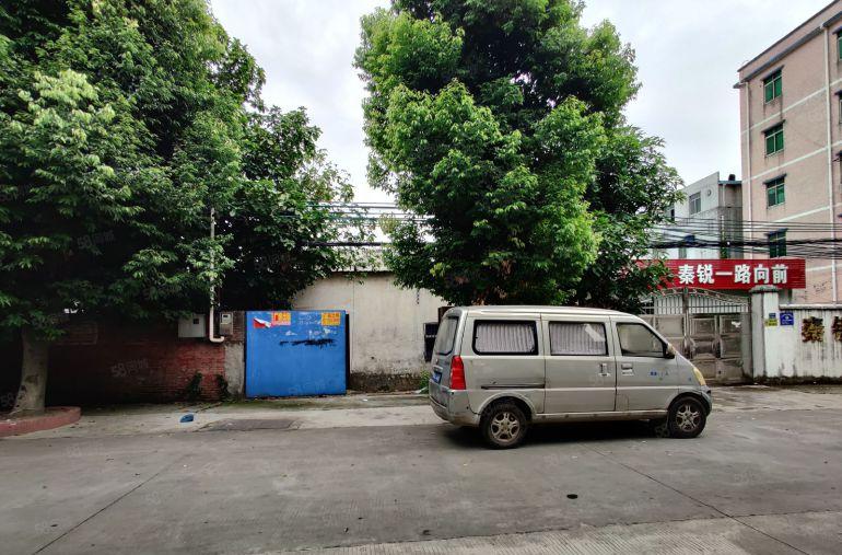 向东工业区单一层钢构小独院厂房300平方，现成装修水电齐全