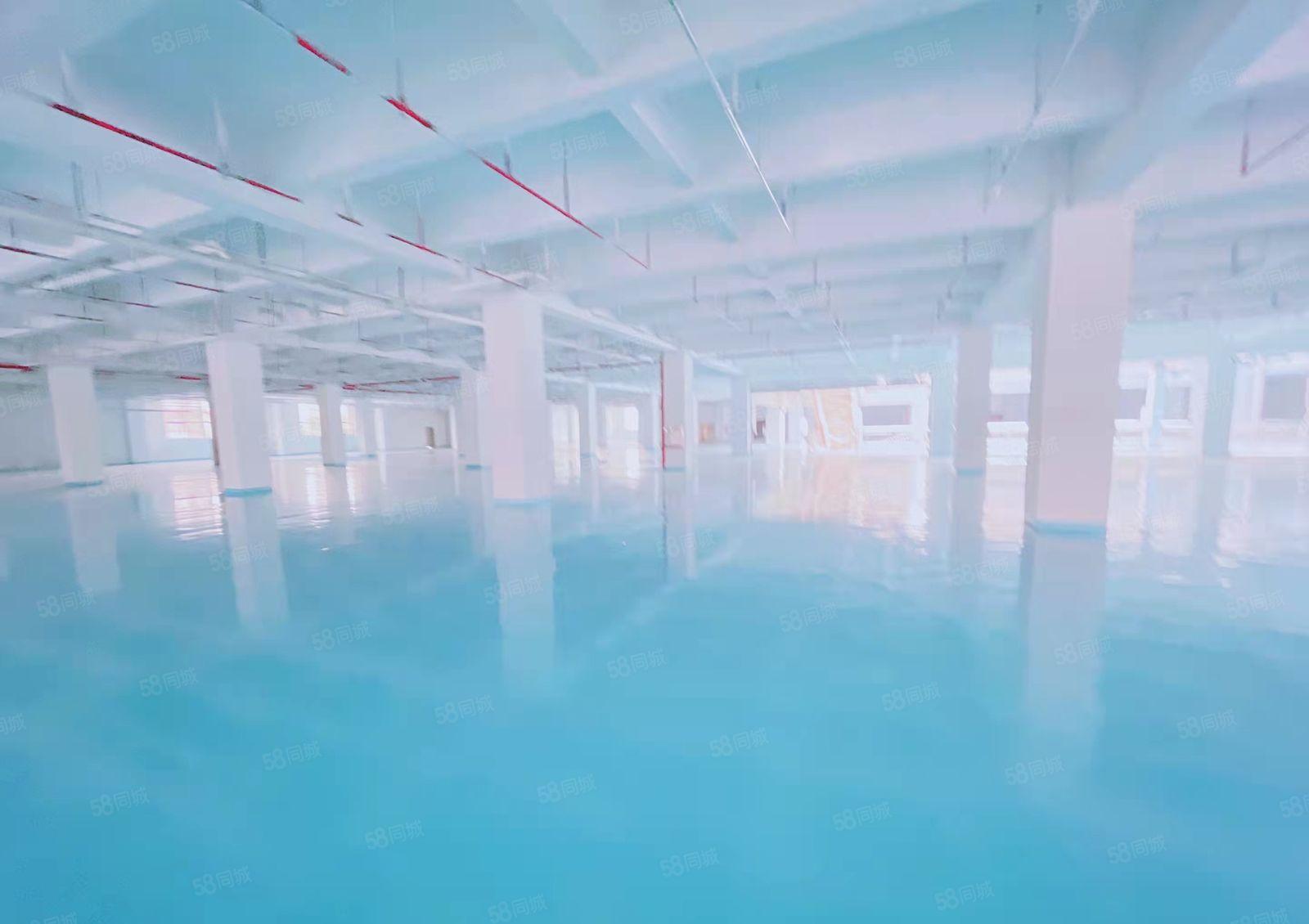 大岭山村委1200平厂房出租仓库出租，工业用地现成装修可分租