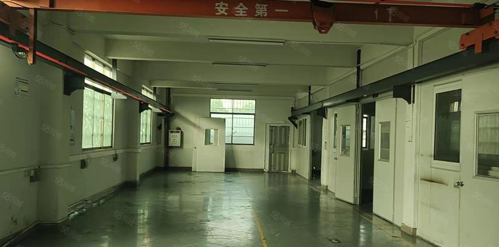 大岭山大岭村翁窑北街独栋独院厂房出租