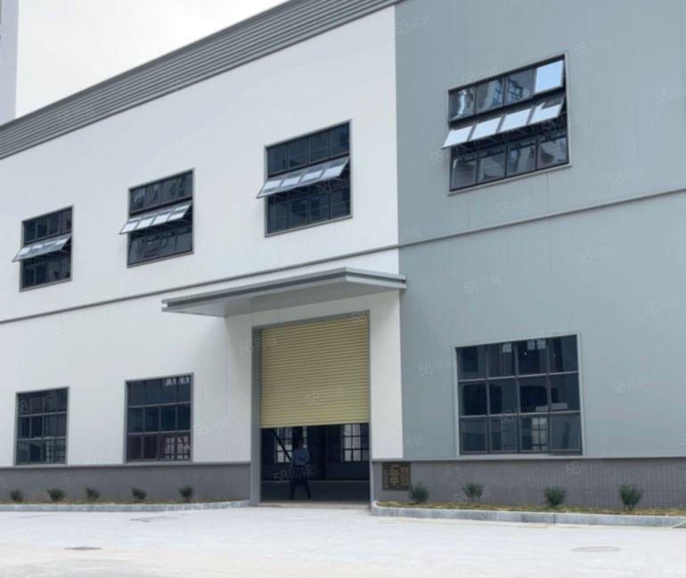 大岭山原房东全新钢构厂房高度15米牛角10米