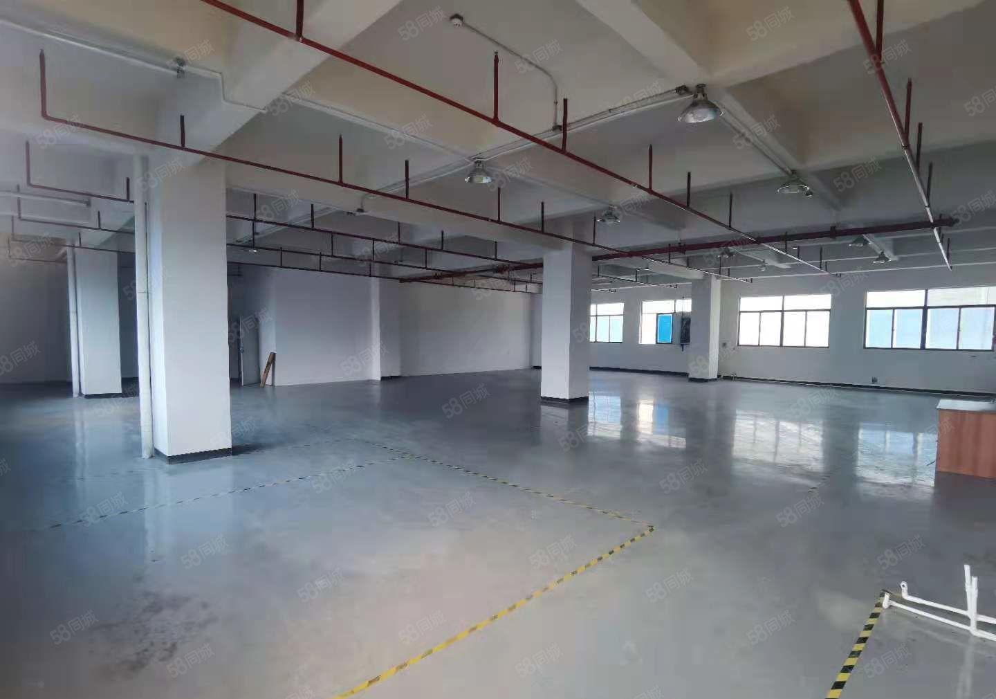 大岭山颜屋G107旁全新重工业厂房出租，7楼650平超大露台