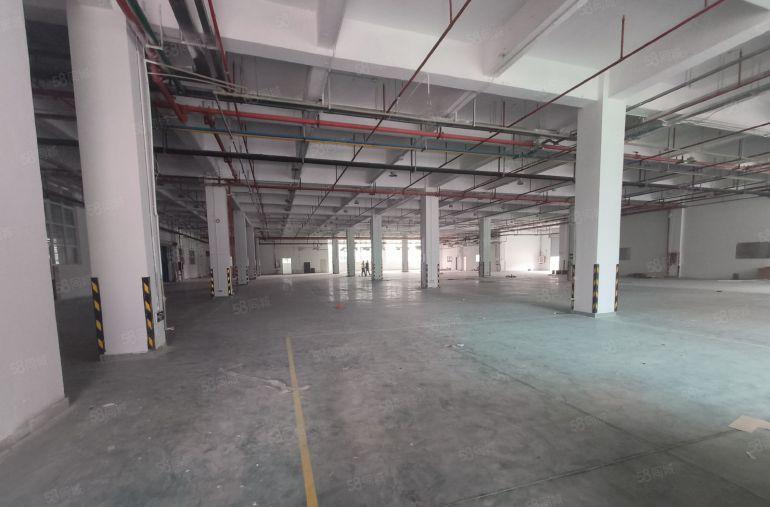 500平起分零公摊大岭山原房东厂房出租69000平首层高7米