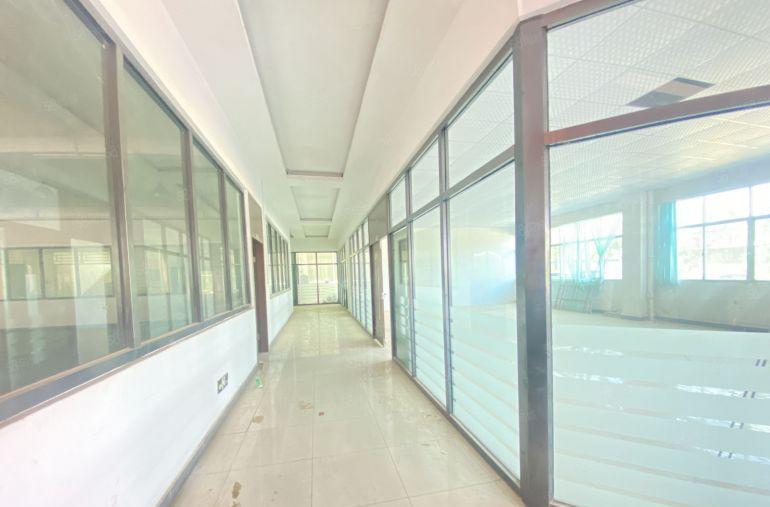 大岭山  原房东   独院   适合注塑五金模具压铸物流仓等