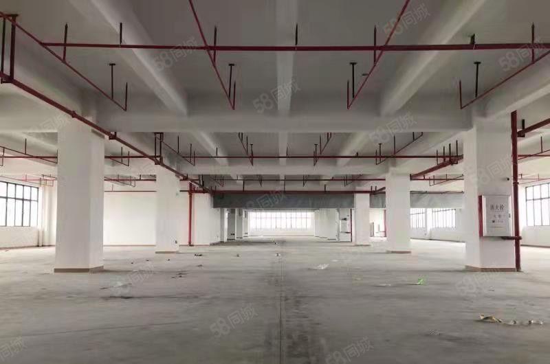 大岭新建双证厂房 可办环评！厂房面积30000平层高7.5米