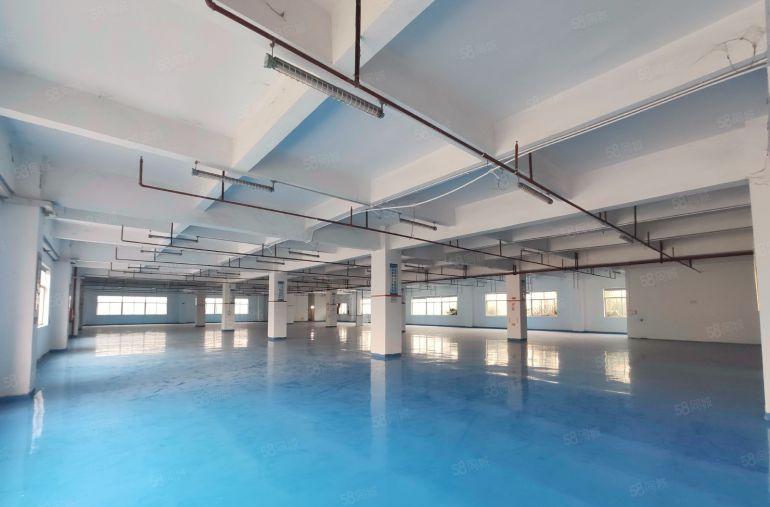 大岭山杨屋二楼1800平全新精装修工业厂房出租