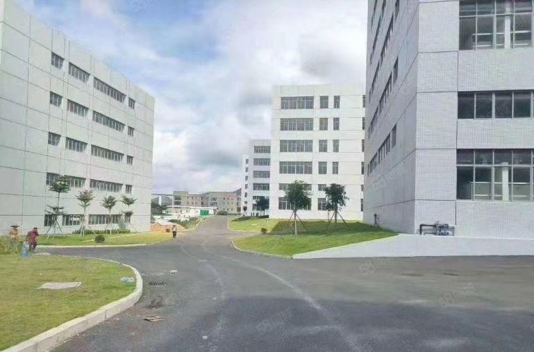 大岭山临近深圳全新红本厂房19688平米出租分租带喷淋