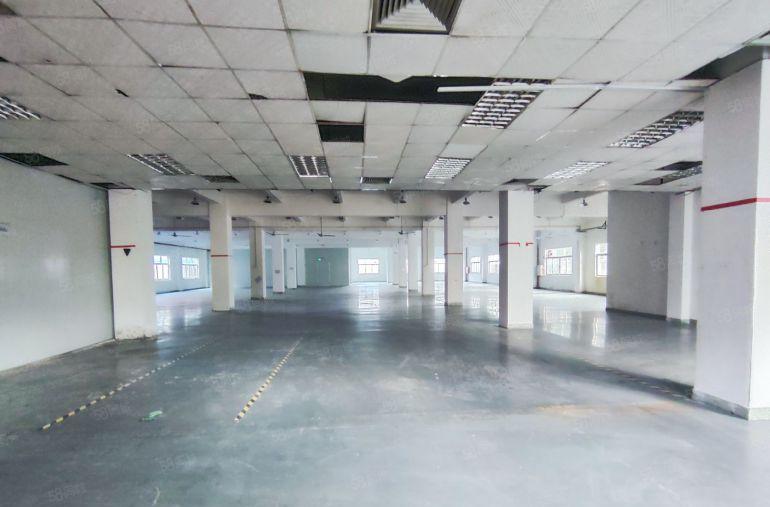 大岭山原房东新出精装修一楼标准厂房，带现成办公室，水电齐全