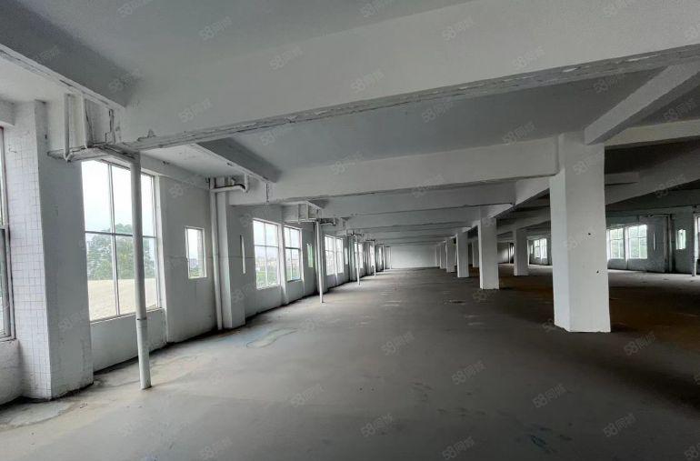 大岭山镇，独院标准厂房低价出租，出入方便