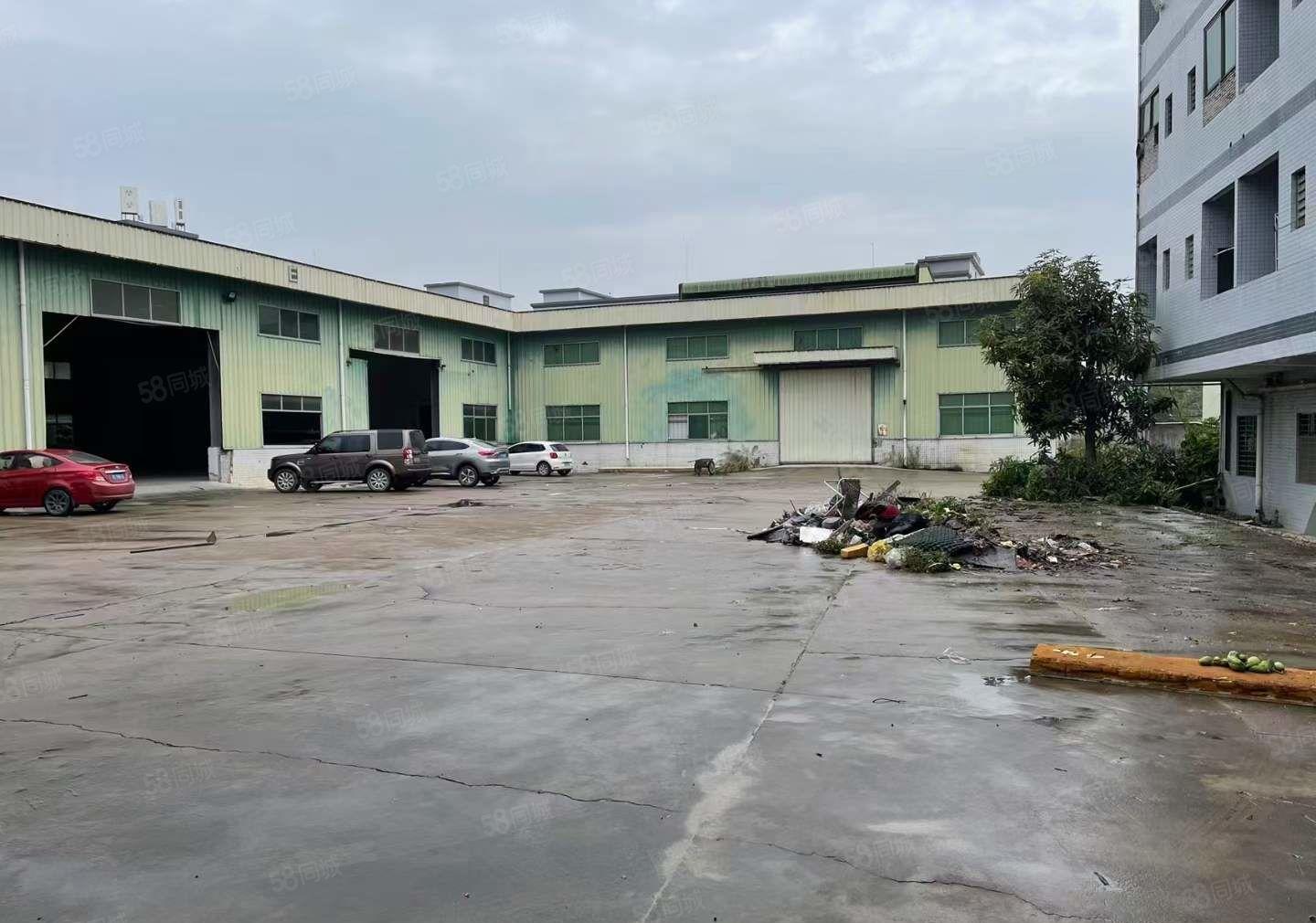 原房东独门独院单一层钢构9米高度4100平方实际面积报价25