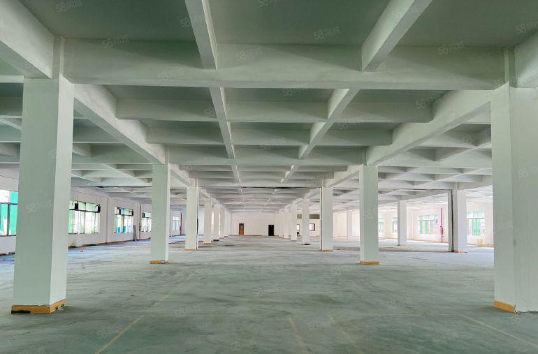 大岭山镇大塘厂房一楼出租无转让费，空地大带喷淋