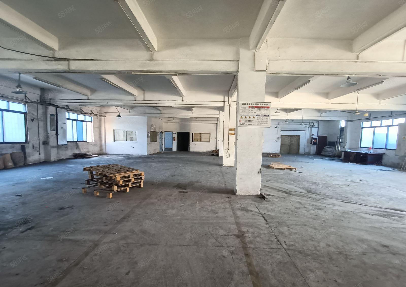 大岭山金桔石大路独院村委厂房出租2楼1000平实际面积出租