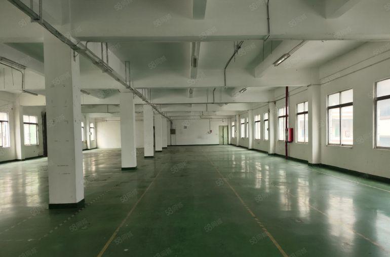 大岭山镇本地人房东二楼现成装修办公室实量面积急租格局方正好用