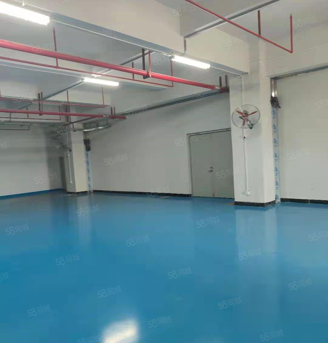 大岭山杨屋新出楼上3000平带精装修厂房，现低价出租，可分租