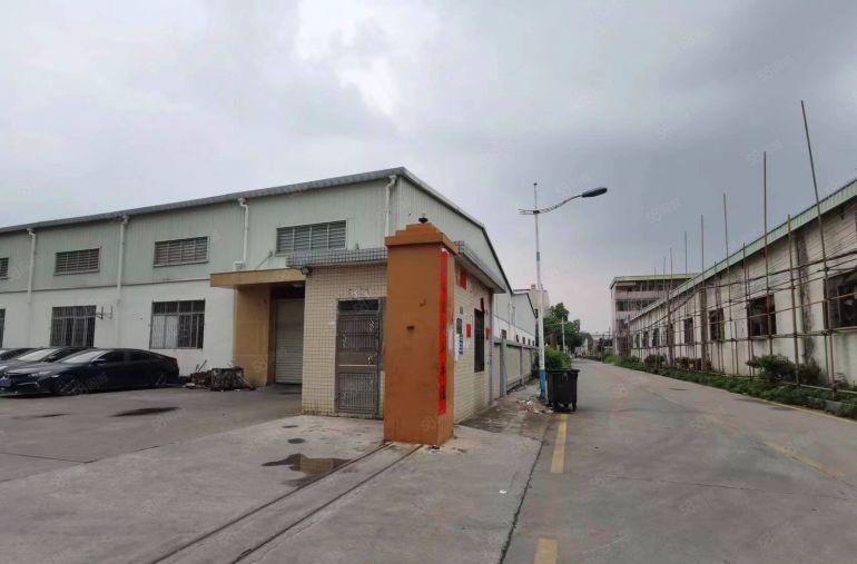 大岭山杨屋原房东小独院，钢构1300平，租金13元，高度8米