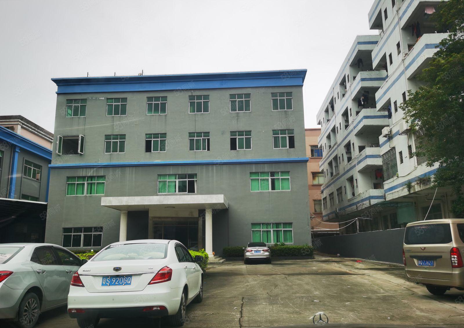 大岭山新出3500独院原房东可办环评易招工交通便利厂房