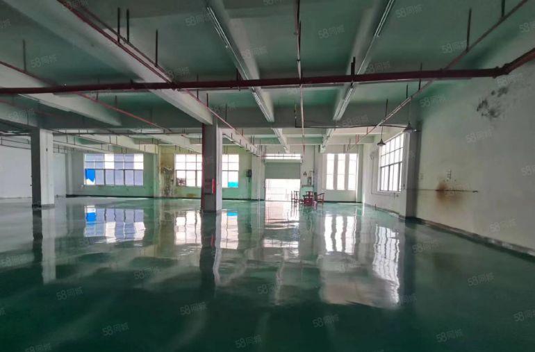 精装修工业无尘车间3层可分租