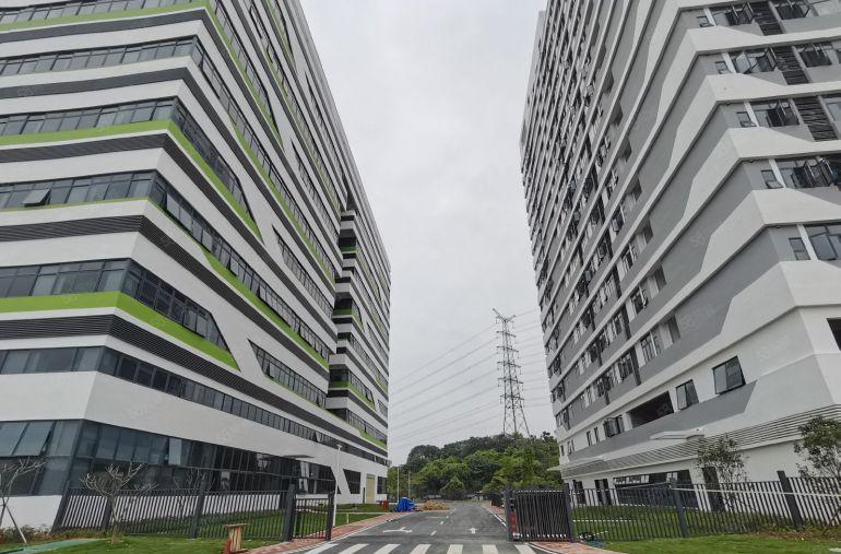 原房东9元低价甩租大岭山松山湖5千平面积实在一楼仓库厂房出租