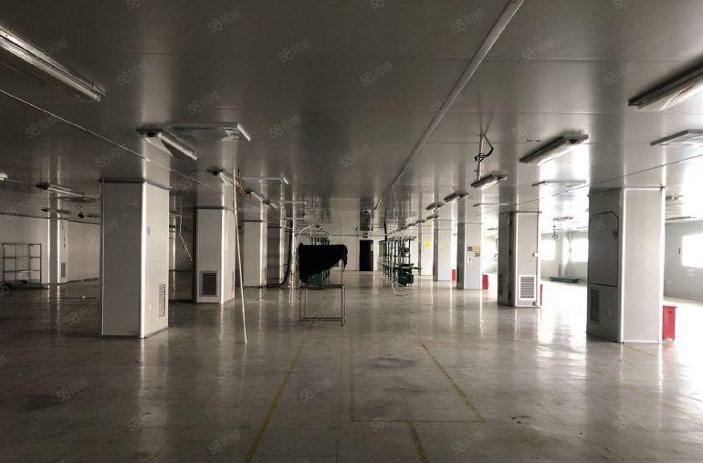 大岭山镇107国道边原房东无尘车间低价出租无转让费