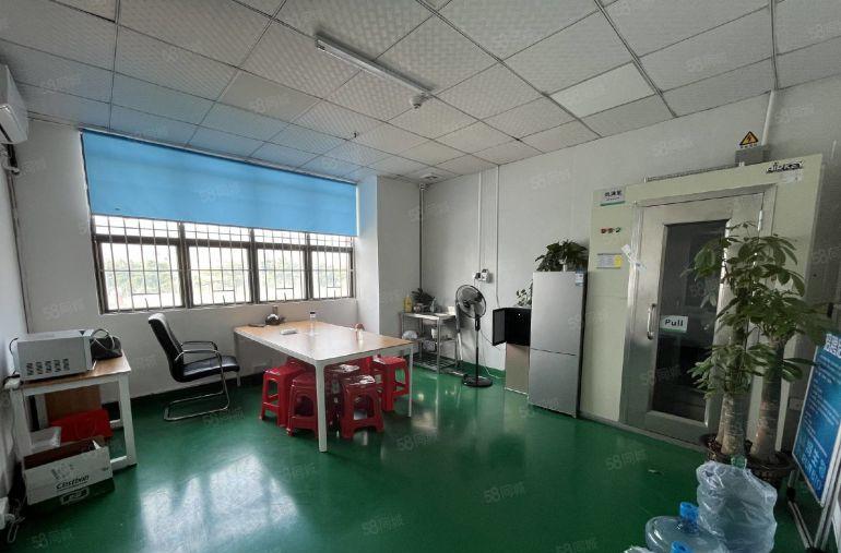 大岭山向东原房东红本可分低价精装修厂房仓库无尘车间一楼上出租