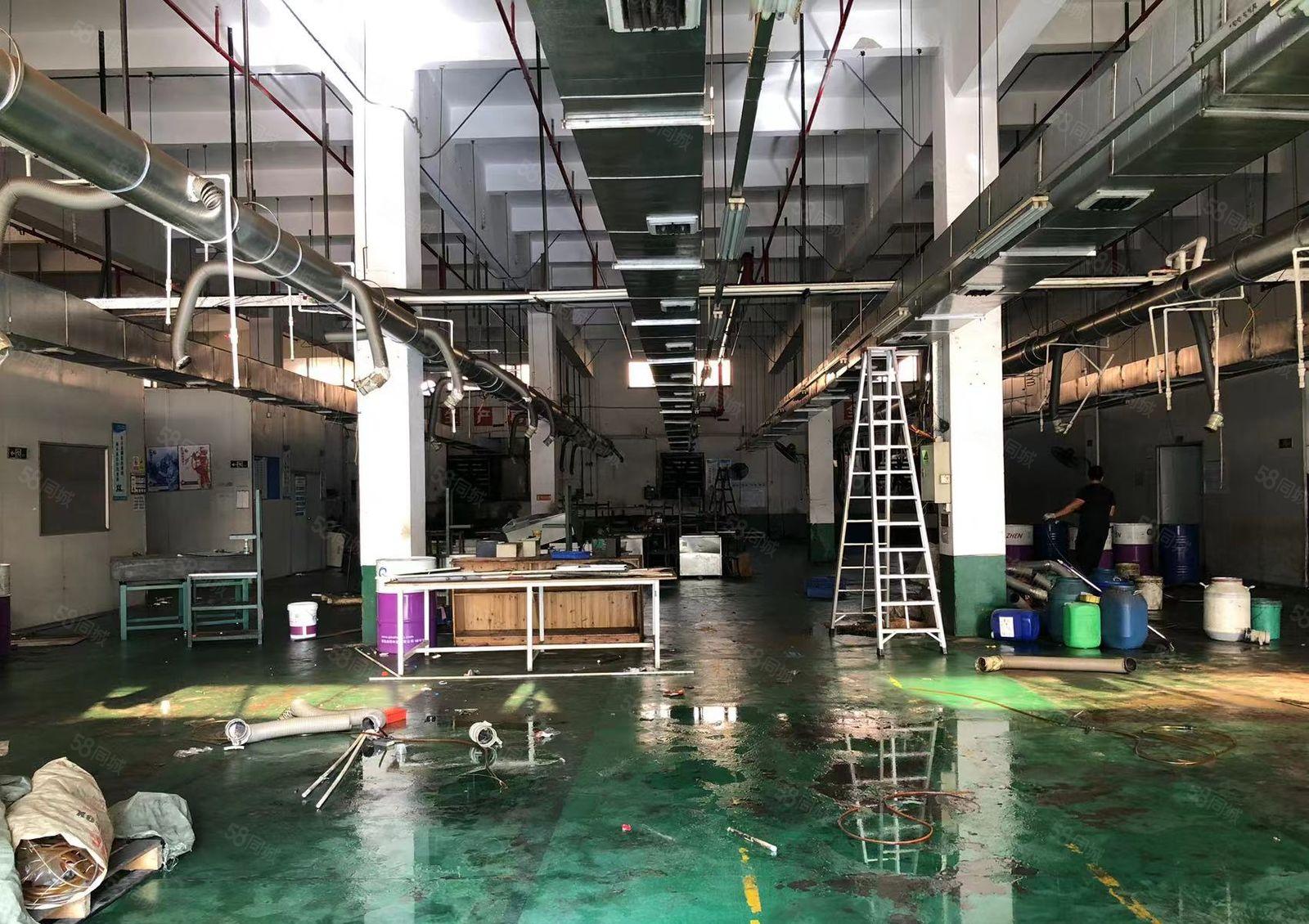 大岭山鸡翅岭1700平一楼工业厂房出租，水电齐全，可办环评