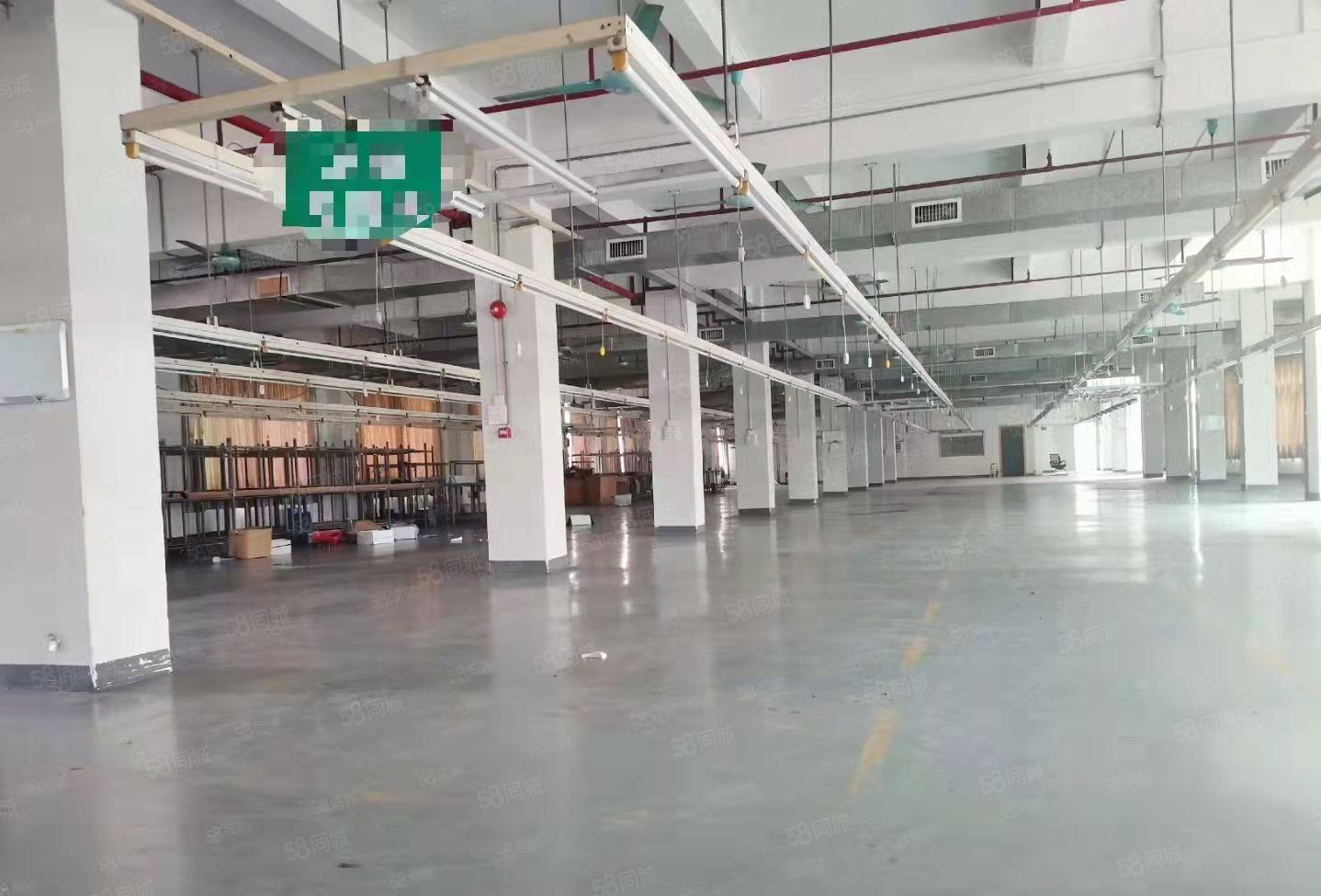 大岭山镇靠深圳独院标准厂房3层3000平方 消防喷淋 精装修