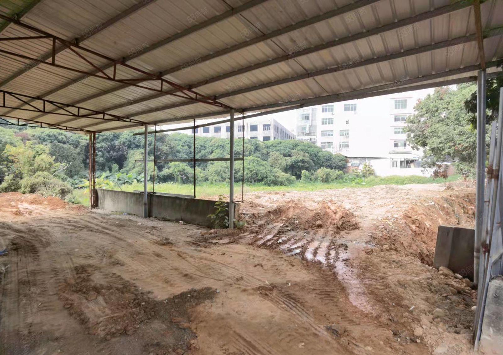 不怕脏及噪声 大岭山镇原房东出租独院铁皮300空地600平