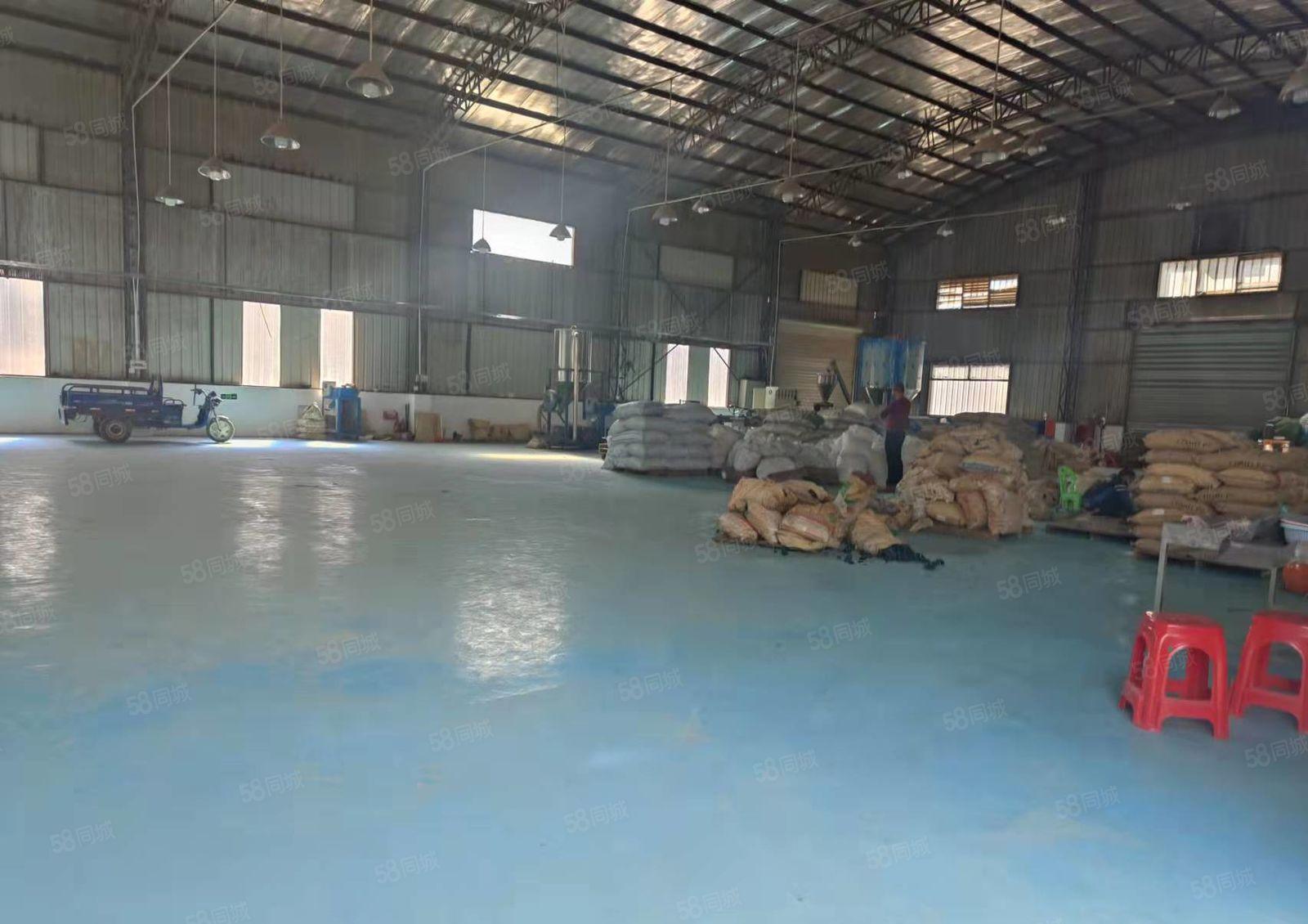 大岭山新出钢构单一层厂房600平优惠出租高8米