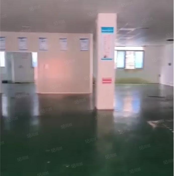 大岭山杨屋靠深圳 一楼厂房出租 精装修 水电齐全 超低价