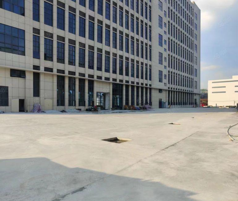 大岭山高速出口4000平全新红本厂房可办环评有喷淋好招工