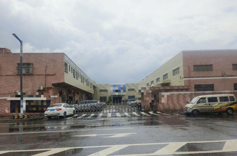 原房东 无公摊 滴水8米 大岭山镇单一层独院厂房低价出租