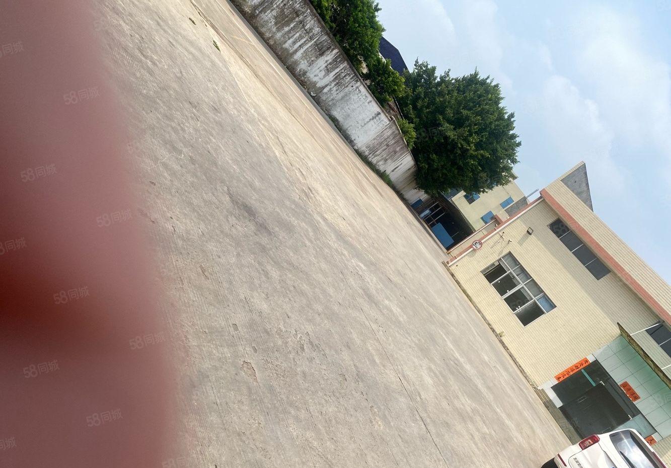 大岭山新出靓独院空大超大高进大车，带牛角位滴水八米可五金设备