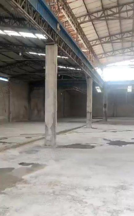 大岭山镇独门独院单一层钢结构2500平方厂房仓库出租