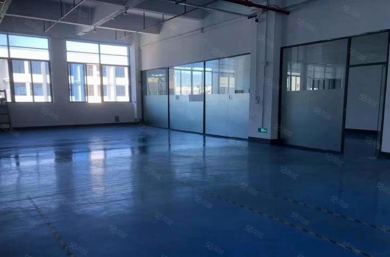 大岭山镇大塘村精装修办公楼厂房