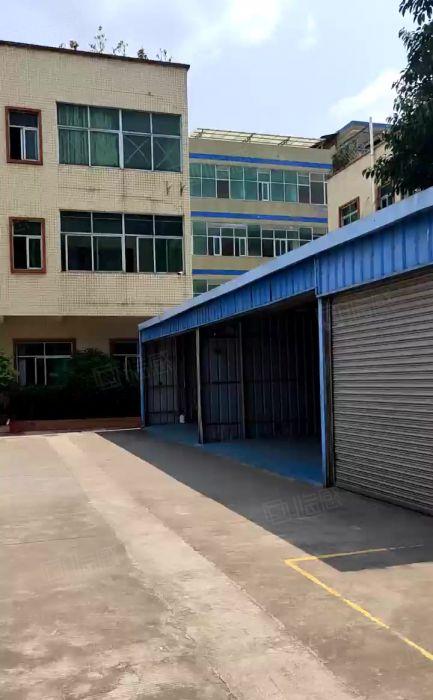 大岭山独院一楼580平实际面积厂房出租原房东