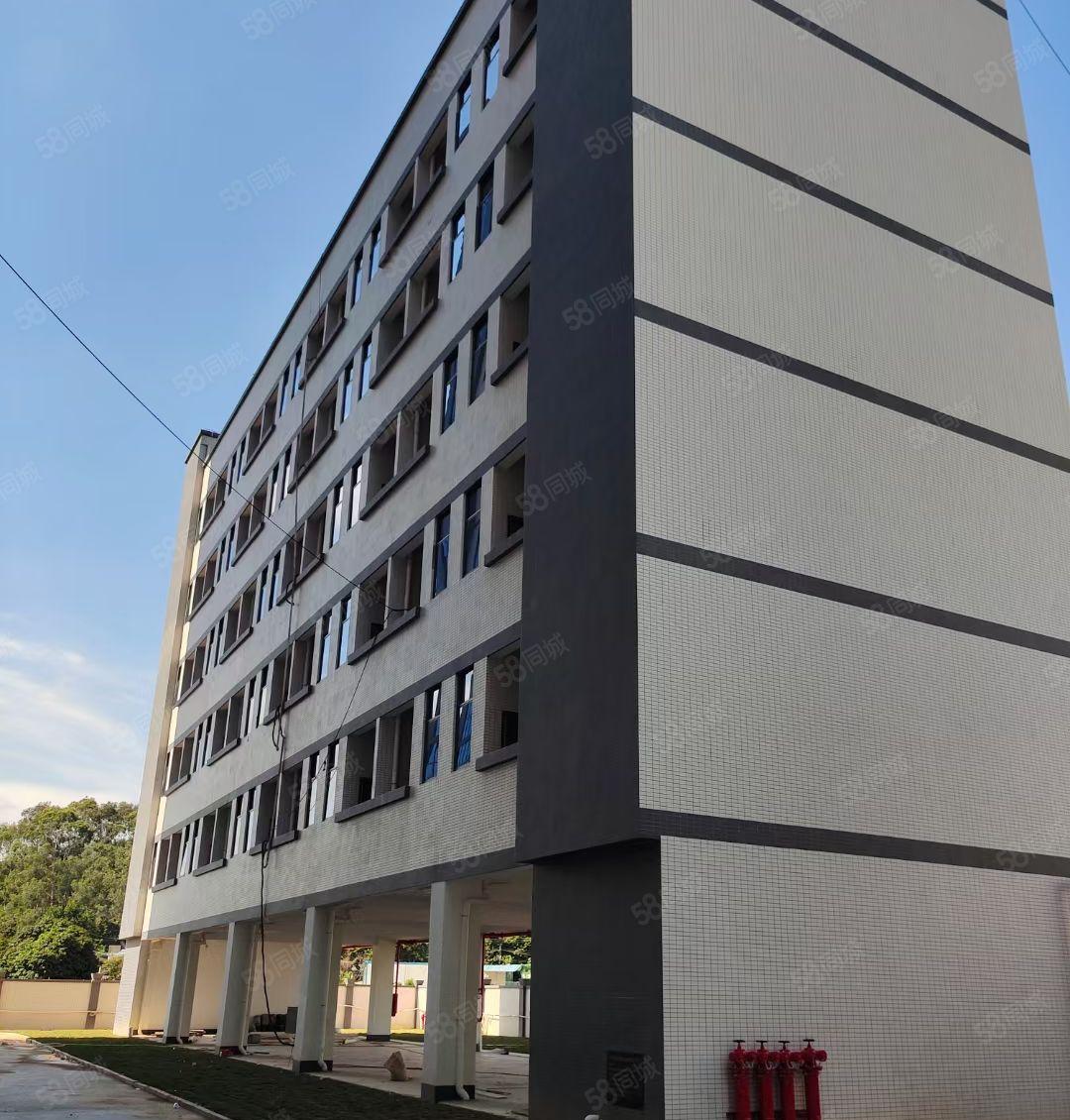 大岭山大塘村一二楼3000平米厂房低价出租，可分租可办环评