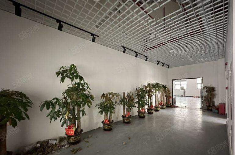 大岭山杨屋楼上1000平实际面积，现成办公室装修仓库厂房出租