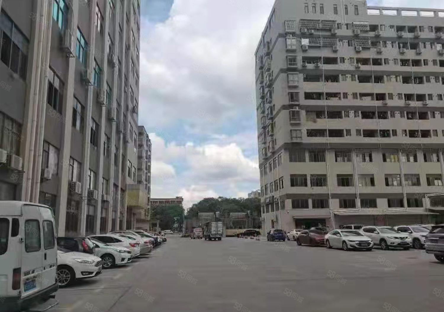 大岭山杨屋G107旁原房东实际面积出租一楼800平现成行车