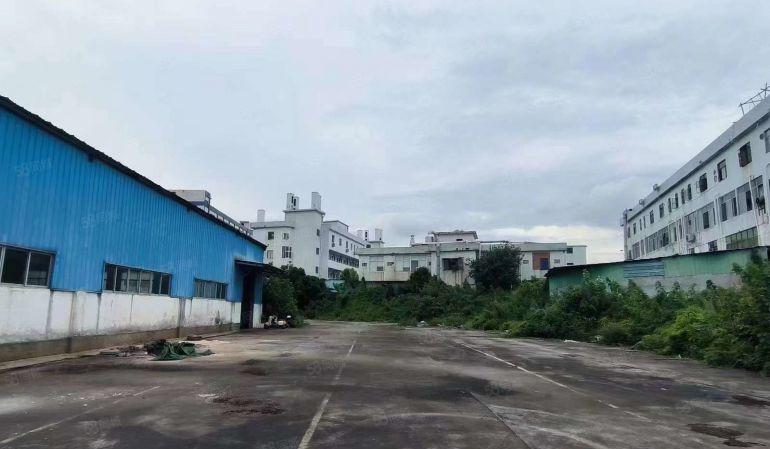 大岭山大沙超大空地厂房出租 高8米 超低价 水电到位