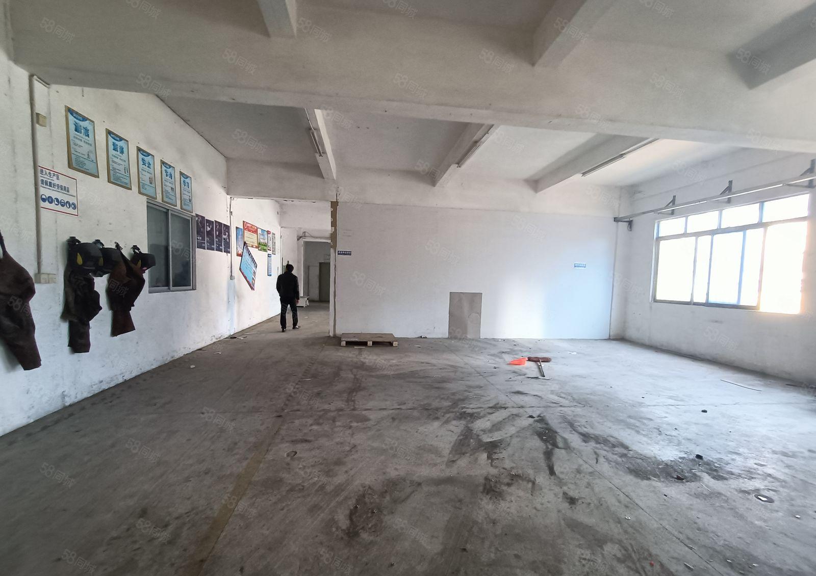 大岭山金桔石大路独院村委厂房出租2楼1000平实际面积出租