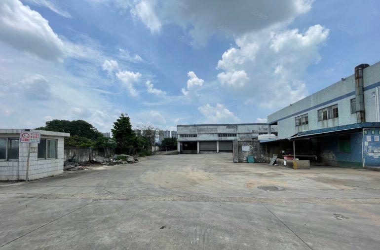 大岭山大道边滴水8米带卸货平台空地超大有污水处理设备